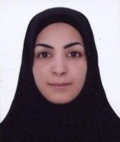 mrs alibeygi